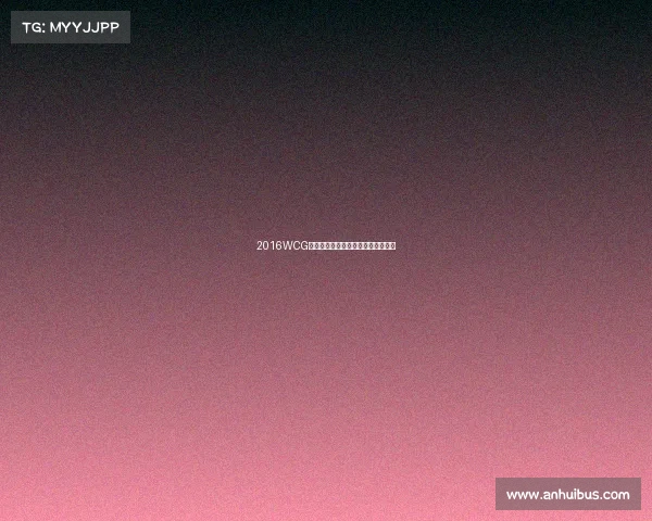 2016WCG终极对决:金陵古城见证新冠军加冕 2016WCG终极对决:金陵古城见证新冠军加冕