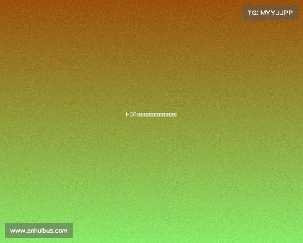 HOG战队：荣耀之路的新篇章，蓄势待发