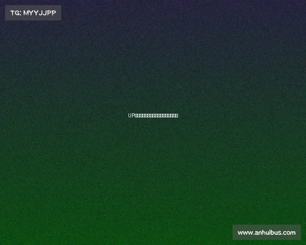 UP战队:从新生力量到百胜里程碑的征程 UP战队:从新生力量到百胜里程碑的征程