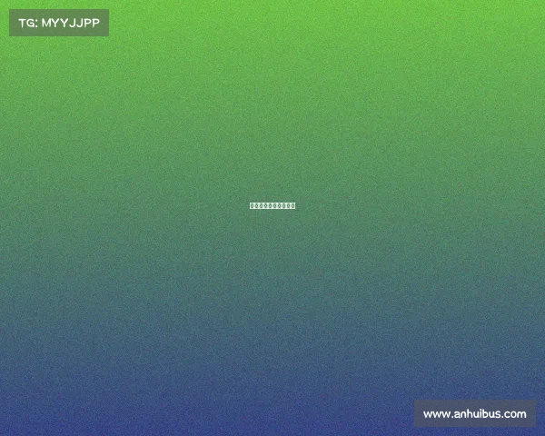 上海理工机械电子工程 上海理工机械电子工程