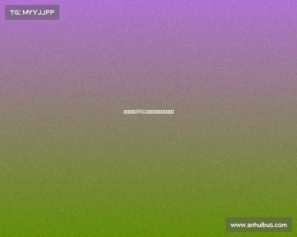 永不言弃，RNG浴火重生谱写传奇新篇章